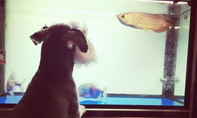 十年后提笔再画，这次玩水彩 - 图画吧TUHUABA