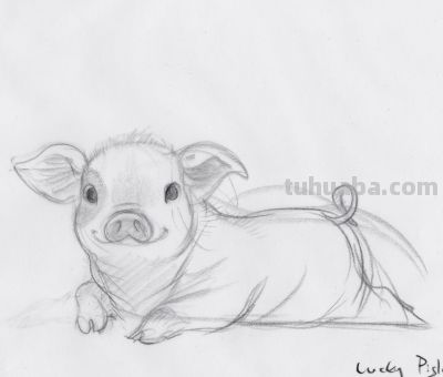 终于画上了一只猪,速写也妖娆! - 今日头条 终于画上了一只猪,速写也妖娆! - 图画吧TUHUABA