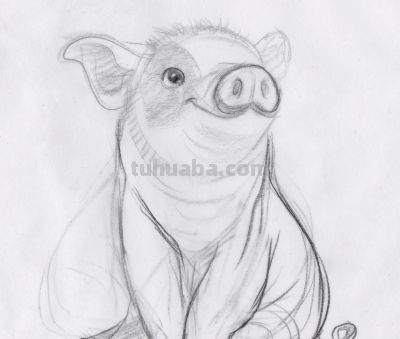 终于画上了一只猪,速写也妖娆! - 今日头条 终于画上了一只猪,速写也妖娆! - 图画吧TUHUABA