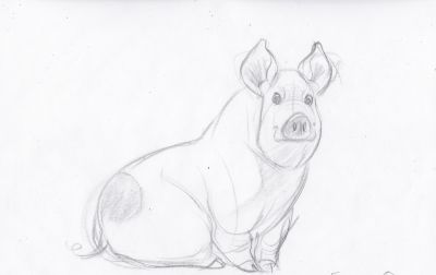 终于画上了一只猪,速写也妖娆! - 今日头条 终于画上了一只猪,速写也妖娆! - 图画吧TUHUABA