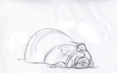 终于画上了一只猪,速写也妖娆! - 今日头条 终于画上了一只猪,速写也妖娆! - 图画吧TUHUABA