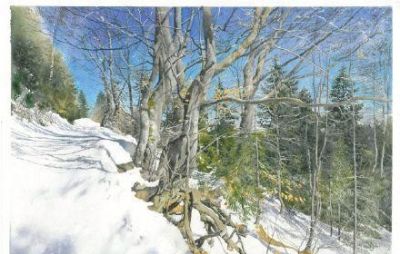 风景水彩作品的意境“美感” - 图画吧TUHUABA