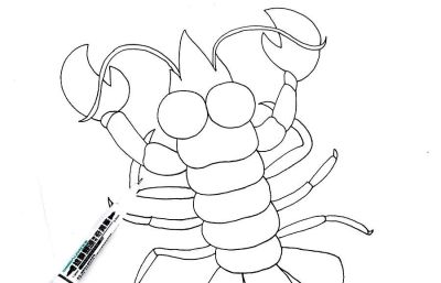 儿童画教程｜学会色彩搭配，水彩笔画一盘美味的大龙虾 - 图画吧TUHUABA