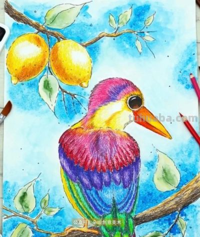 范画 | 水彩动物手绘作品，适合绘画临摹素材使用哦 - 图画吧TUHUABA