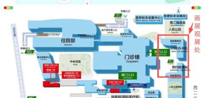 这场医院里的公益画展，让“罕见的梦”，被看见！ - 图画吧TUHUABA