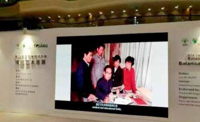 冯家的花与中国生物科学画奠基人冯澄如丨诞辰130周年 - 图画吧TUHUABA