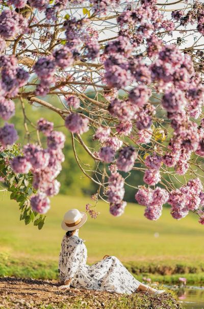 春景人像太美了!8个姿势+技巧,高级漂亮不落俗,诗意浪漫有意境 - 今日头条 春景人像太美了!8个姿势+技巧,高级漂亮不落俗,诗意浪漫有意境 - 图画吧TUHUABA