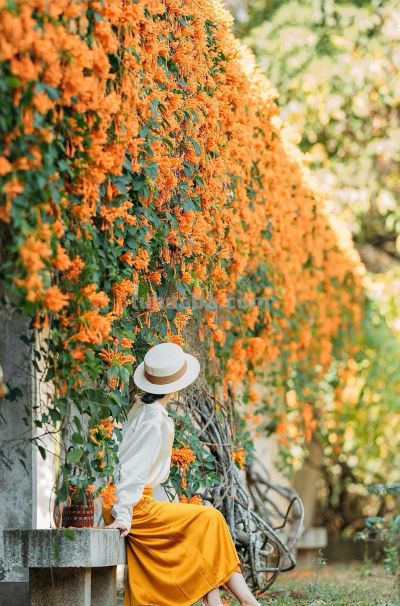 春景人像太美了!8个姿势+技巧,高级漂亮不落俗,诗意浪漫有意境 - 今日头条 春景人像太美了!8个姿势+技巧,高级漂亮不落俗,诗意浪漫有意境 - 图画吧TUHUABA