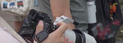 “观鸟”“拍鸟”受青睐，热门摄影器材销量攀升 - 图画吧TUHUABA