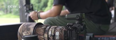 “观鸟”“拍鸟”受青睐，热门摄影器材销量攀升 - 图画吧TUHUABA