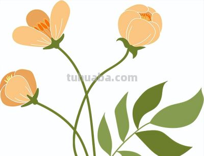 宫崎骏&久石让梦幻联动！免费福利手慢无！ - 图画吧TUHUABA