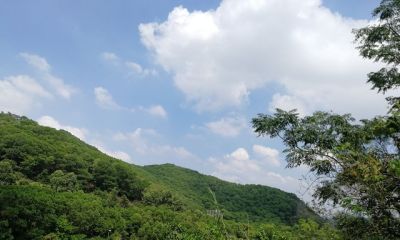 AI如此强大，虚拟偶像走红，演艺人员将何去何从？ - 图画吧TUHUABA