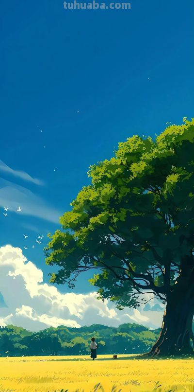 宫崎骏动漫壁纸｜每一帧都是春日的气息 - 图画吧TUHUABA