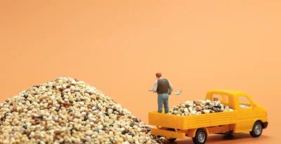 家庭种植热门！藿香种子选购与种植攻略 - 图画吧TUHUABA