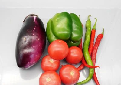 家庭蔬菜育苗记与种植技巧 - 图画吧TUHUABA