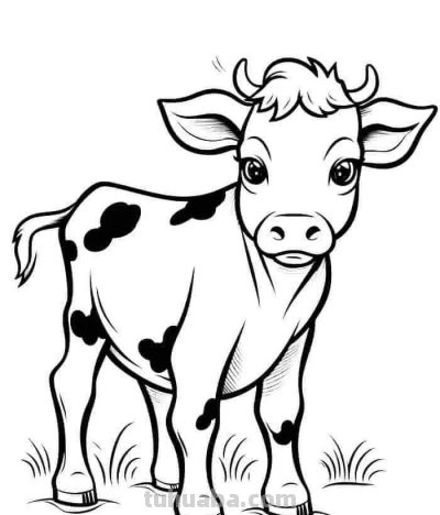 可爱的小动物简笔画线稿，收藏备用 - 图画吧TUHUABA