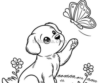 可爱的小动物简笔画线稿，收藏备用 - 图画吧TUHUABA