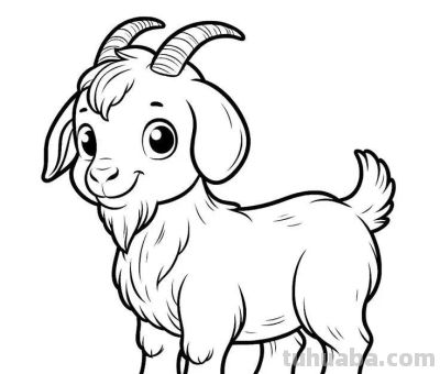 可爱的小动物简笔画线稿，收藏备用 - 图画吧TUHUABA