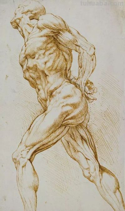 50幅公认的素描精品,你承认吗? - 今日头条 50幅公认的素描精品,你承认吗? - 图画吧TUHUABA