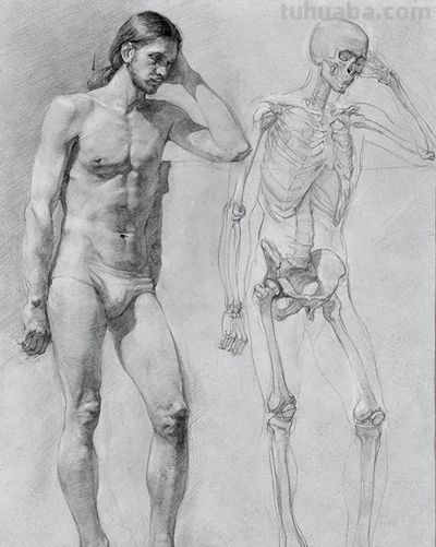 50幅公认的素描精品,你承认吗? - 今日头条 50幅公认的素描精品,你承认吗? - 图画吧TUHUABA