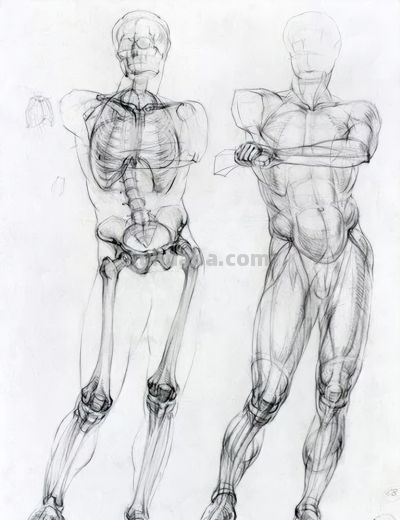 50幅公认的素描精品,你承认吗? - 今日头条 50幅公认的素描精品,你承认吗? - 图画吧TUHUABA