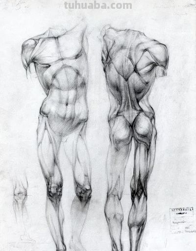 50幅公认的素描精品,你承认吗? - 今日头条 50幅公认的素描精品,你承认吗? - 图画吧TUHUABA