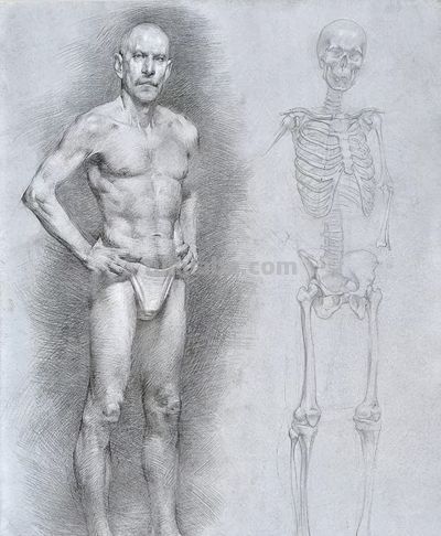 50幅公认的素描精品,你承认吗? - 今日头条 50幅公认的素描精品,你承认吗? - 图画吧TUHUABA