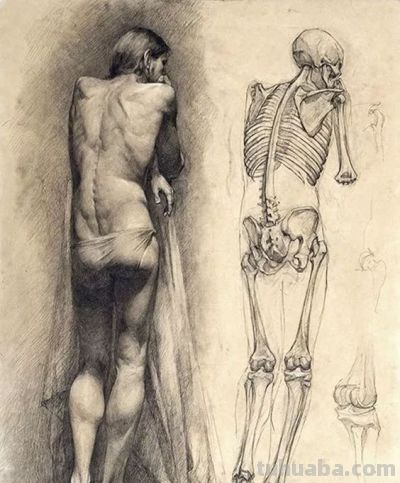 50幅公认的素描精品,你承认吗? - 今日头条 50幅公认的素描精品,你承认吗? - 图画吧TUHUABA