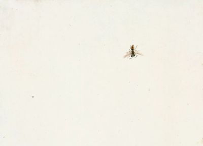 化身田野考察家，探访齐白石的草间世界 - 图画吧TUHUABA