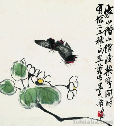 化身田野考察家，探访齐白石的草间世界 - 图画吧TUHUABA