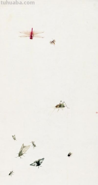 化身田野考察家，探访齐白石的草间世界 - 图画吧TUHUABA