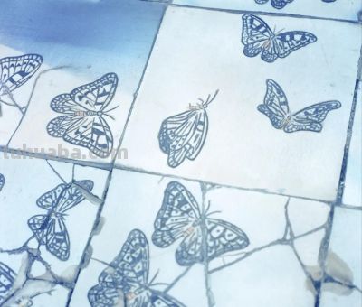 有没有什么简单的摄影技巧啊? - 今日头条 有没有什么简单的摄影技巧啊? - 图画吧TUHUABA