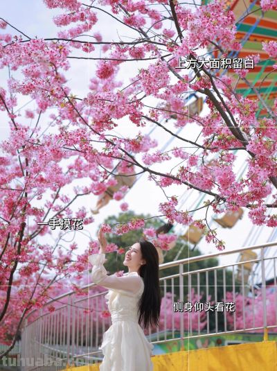 樱花拍照不扭捏，几个姿势技巧，诗意浪漫美如画，赞爆朋友圈 - 图画吧TUHUABA
