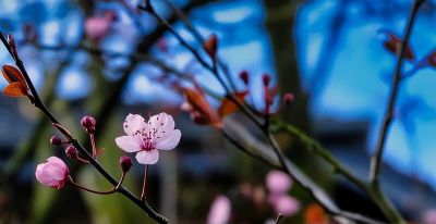 如何处理照片背景?专业摄影师分享9个拍摄技巧,收藏! - 今日头条 如何处理照片背景?专业摄影师分享9个拍摄技巧,收藏! - 图画吧TUHUABA