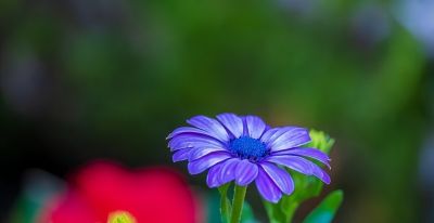 如何处理照片背景?专业摄影师分享9个拍摄技巧,收藏! - 今日头条 如何处理照片背景?专业摄影师分享9个拍摄技巧,收藏! - 图画吧TUHUABA