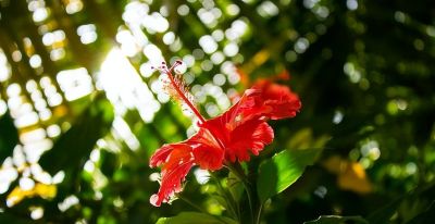 如何处理照片背景?专业摄影师分享9个拍摄技巧,收藏! - 今日头条 如何处理照片背景?专业摄影师分享9个拍摄技巧,收藏! - 图画吧TUHUABA