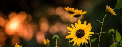 如何处理照片背景?专业摄影师分享9个拍摄技巧,收藏! - 今日头条 如何处理照片背景?专业摄影师分享9个拍摄技巧,收藏! - 图画吧TUHUABA