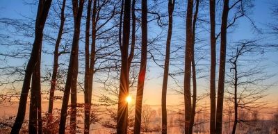 如何处理照片背景?专业摄影师分享9个拍摄技巧,收藏! - 今日头条 如何处理照片背景?专业摄影师分享9个拍摄技巧,收藏! - 图画吧TUHUABA