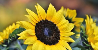 如何处理照片背景?专业摄影师分享9个拍摄技巧,收藏! - 今日头条 如何处理照片背景?专业摄影师分享9个拍摄技巧,收藏! - 图画吧TUHUABA