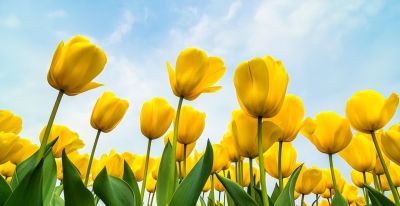 如何处理照片背景?专业摄影师分享9个拍摄技巧,收藏! - 今日头条 如何处理照片背景?专业摄影师分享9个拍摄技巧,收藏! - 图画吧TUHUABA