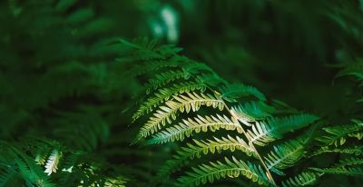 如何处理照片背景?专业摄影师分享9个拍摄技巧,收藏! - 今日头条 如何处理照片背景?专业摄影师分享9个拍摄技巧,收藏! - 图画吧TUHUABA