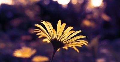 如何处理照片背景?专业摄影师分享9个拍摄技巧,收藏! - 今日头条 如何处理照片背景?专业摄影师分享9个拍摄技巧,收藏! - 图画吧TUHUABA