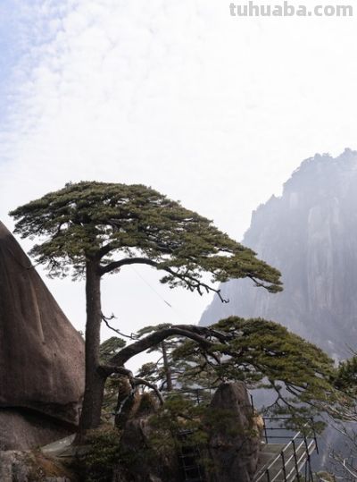 单反VS无反：摄影器材终极对决！一篇文章让你彻底告别选择困难症 - 今日头条