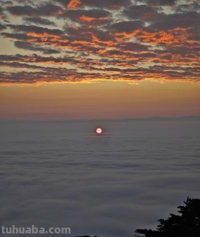 单反VS无反：摄影器材终极对决！一篇文章让你彻底告别选择困难症 - 图画吧TUHUABA