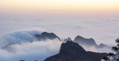 单反VS无反：摄影器材终极对决！一篇文章让你彻底告别选择困难症 - 图画吧TUHUABA