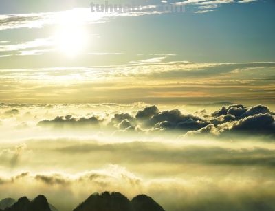 单反VS无反：摄影器材终极对决！一篇文章让你彻底告别选择困难症 - 图画吧TUHUABA