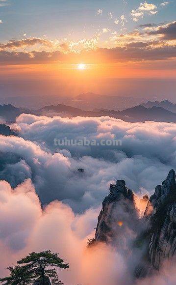 单反VS无反：摄影器材终极对决！一篇文章让你彻底告别选择困难症 - 图画吧TUHUABA