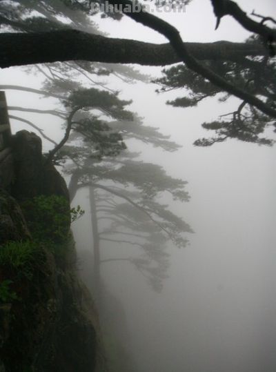 单反VS无反：摄影器材终极对决！一篇文章让你彻底告别选择困难症 - 图画吧TUHUABA