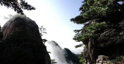 单反VS无反：摄影器材终极对决！一篇文章让你彻底告别选择困难症 - 图画吧TUHUABA