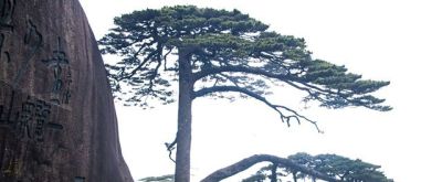 单反VS无反：摄影器材终极对决！一篇文章让你彻底告别选择困难症 - 图画吧TUHUABA